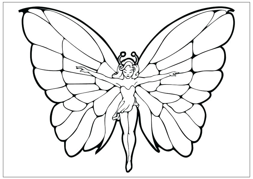 842x595 Coloring Pages Butterfly Coloring Sheet Pages Butterflies - Fairy Outline Drawing