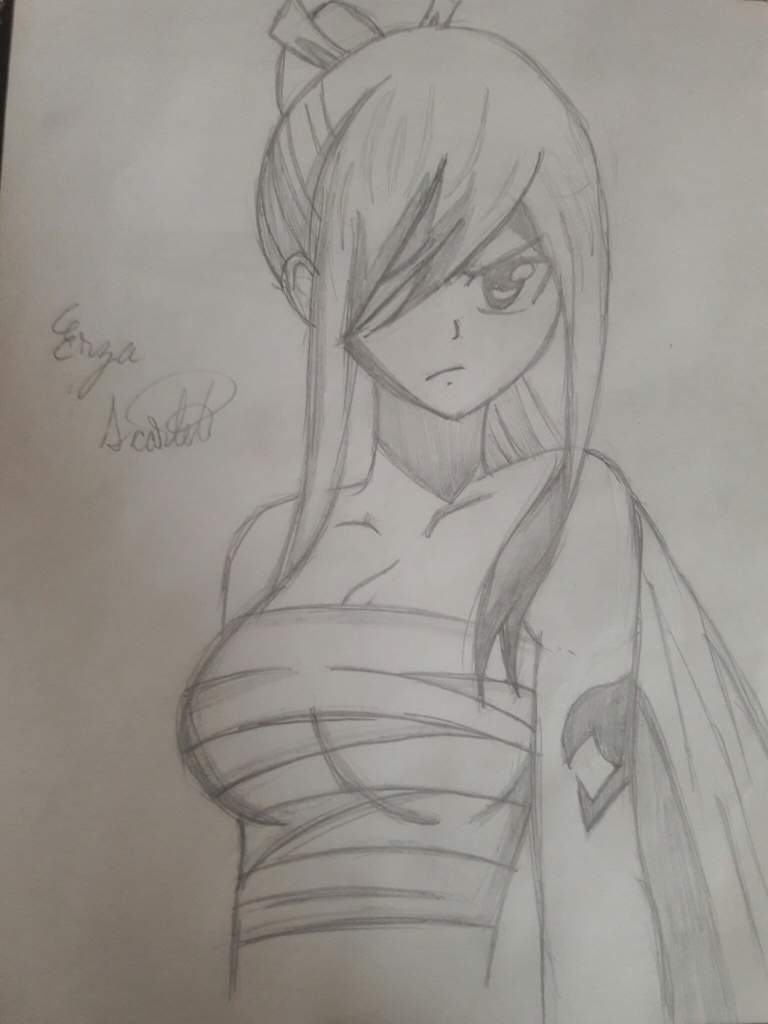 768x1024 erza scarlet drawing fairy tail amino - Fairy Tail Erza Drawing