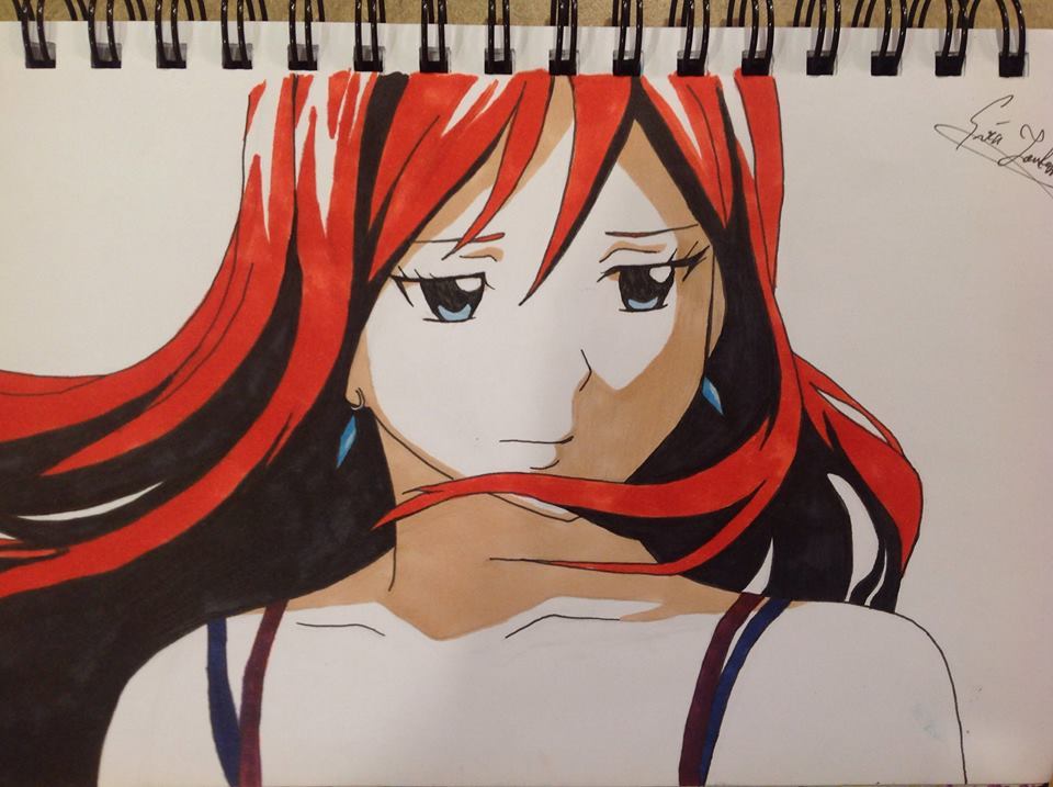 960x717 Erza - Fairy Tail Manga Drawing