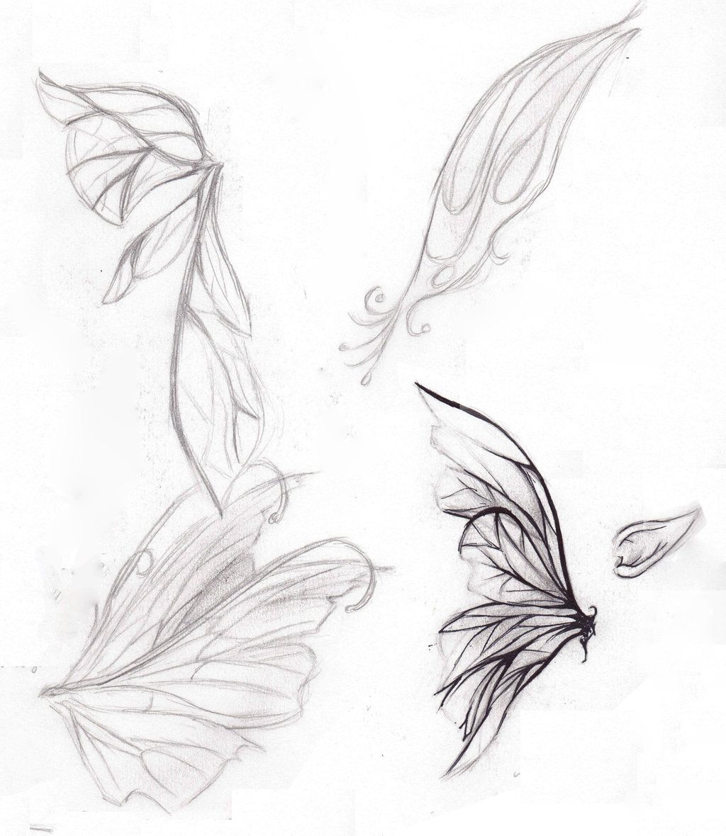 1024x1180 Fairy Wings Drawings - Fairy Wings Drawing