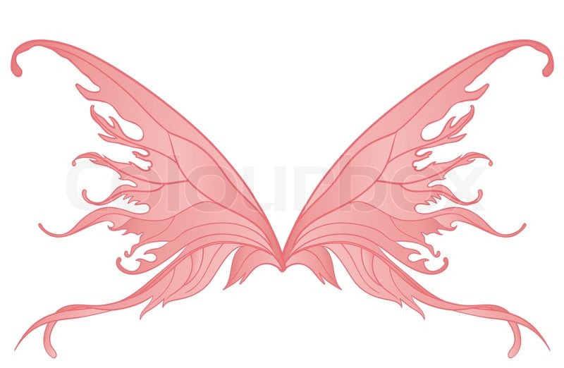 800x522 Pair Of Pink Fairy Wings Stock Vector Colourbox - Fairy Wings Drawing