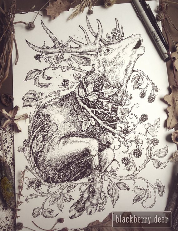 570x739 Original Ink Drawings Amberry Lamb X Theoretical Part Ink Etsy - Fairytale Drawings