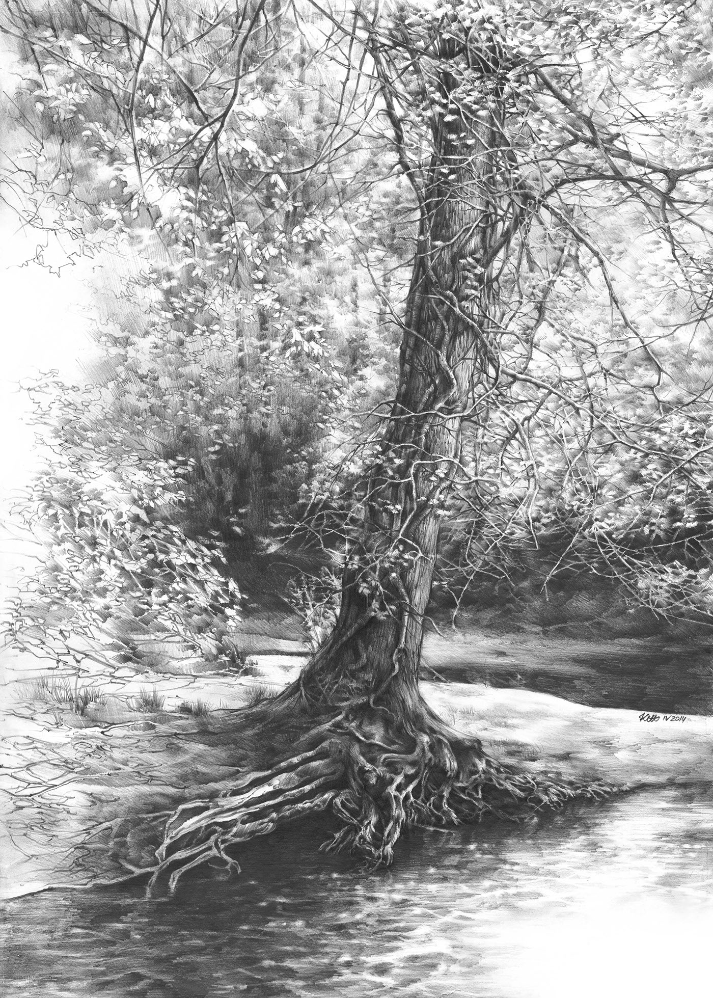 1400x1959 realistic pencil drawing of the 'fairytale tree' on behance - Fairytale Drawings