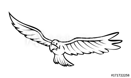 500x299 Falcon Bird Vector Drawing - Falcon Bird Drawing
