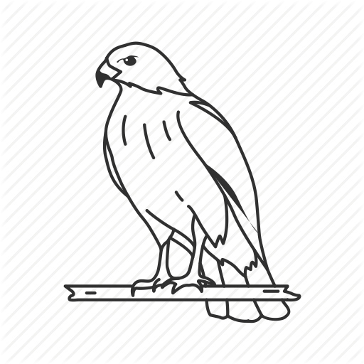 512x512 Bird, Falcon, Fast Bird, Hawk, Predator Icon - Falcon Bird Drawing