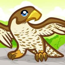 220x220 How To Draw How To Draw A Falcon For Kids - Falcon Bird Drawing