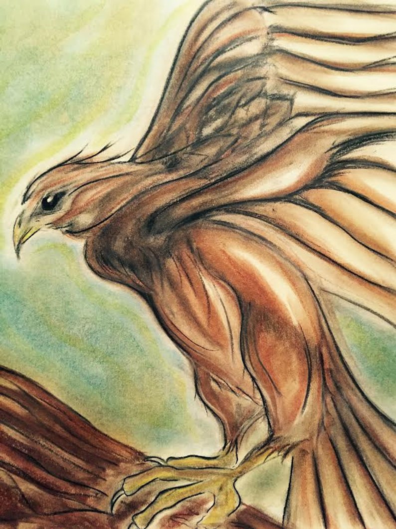 794x1059 Pastel Falcon Drawing Etsy - Falcon Drawing