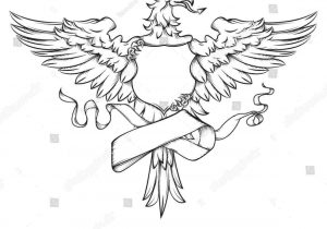 300x210 Drawing And How Easy Falcon Drawing To Draw A Bird Step - Falcon Drawing