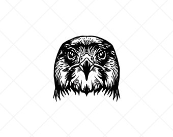 340x270 Falcon Head Etsy - Falcon Head Drawing