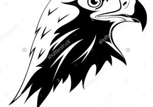 300x210 Drawing Rhcom Vector Antique Engraving - Falcon Head Drawing