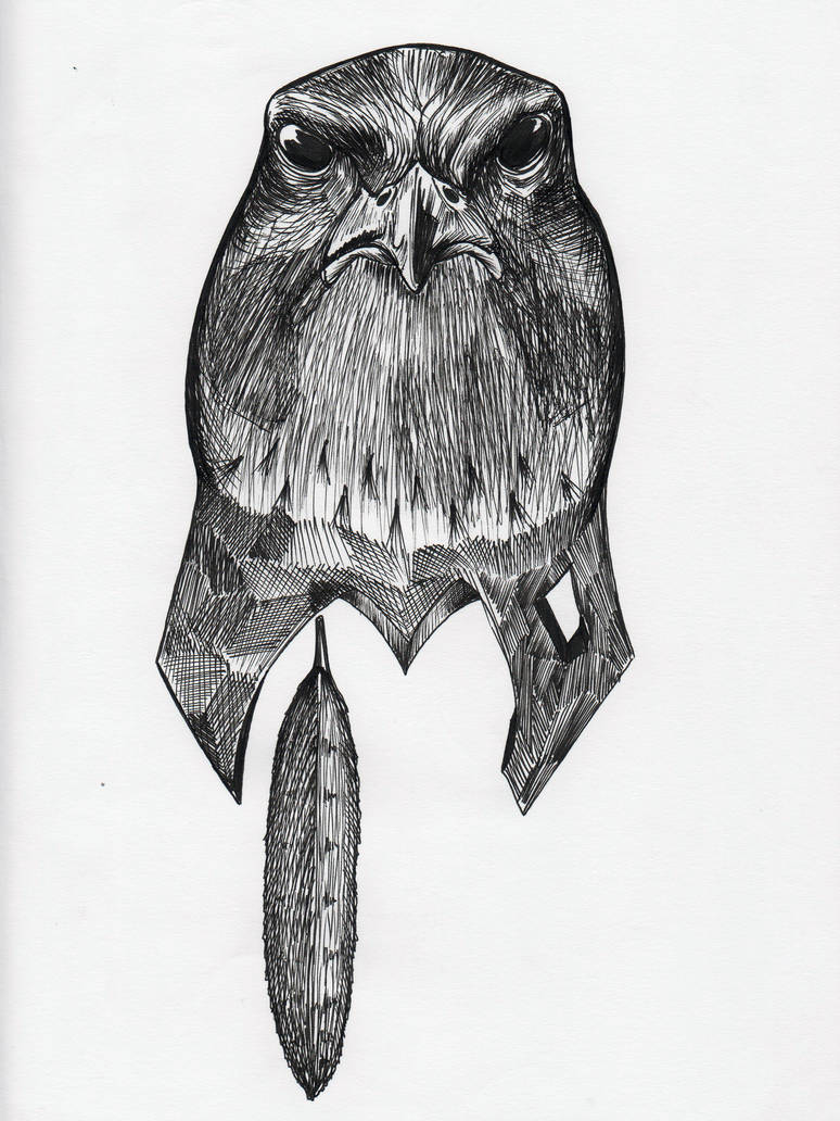 774x1032 Falcon Head - Falcon Head Drawing