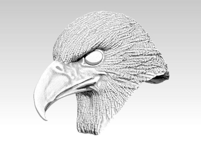 652x500 eagle hawk falcon bird head bust printable model - Falcon Head Drawing