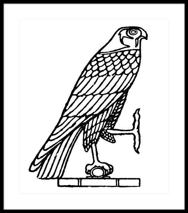 600x682 Egyptian Symbol Falcon Framed Print - Falcon Line Drawing