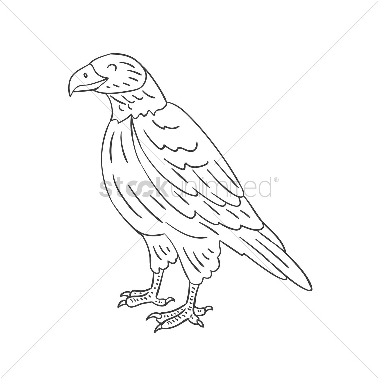 1300x1300 Falcon Vector Image - Falcon Line Drawing
