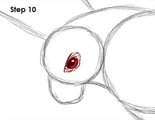 500x386 How To Draw A Falcon - Falcon Line Drawing