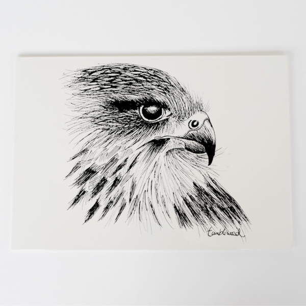 600x600 Falcon Art Print Tumbleweed Tees - Falcon Line Drawing