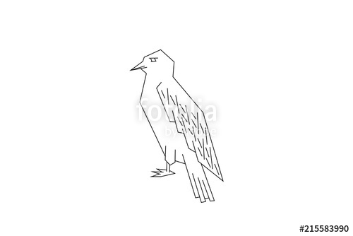 500x334 Line Drawing Of A Falcon, Vector Illustration Stock Image - Falcon Line Drawing