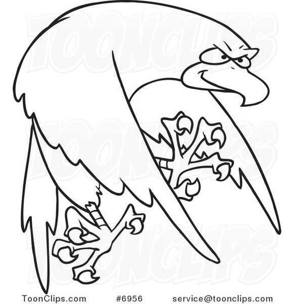 581x600 Cartoon Black And White Line Drawing Of A Tough Falcon - Falcon Line Drawing