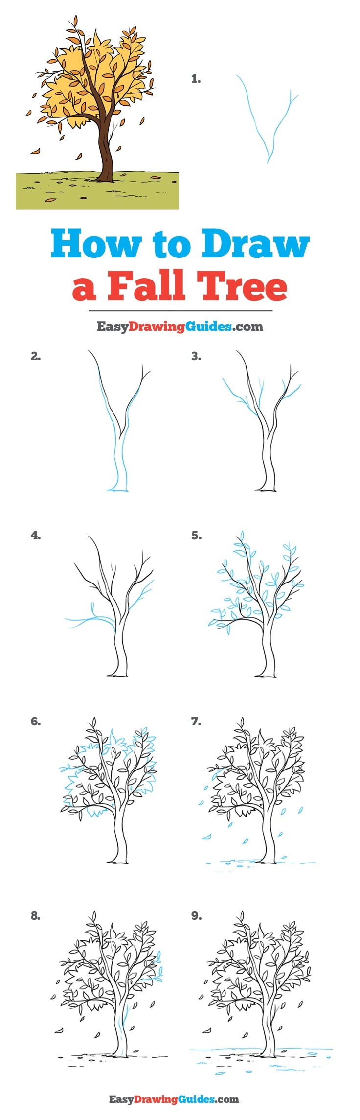 736x2288 how to draw a fall tree - Fall Drawing Pictures