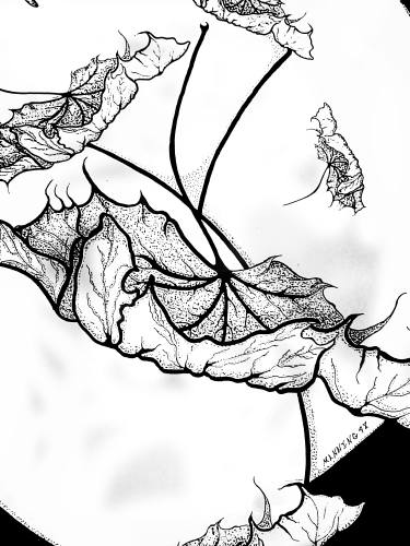 375x500 autumn fall drawing - Fall Drawing Pictures