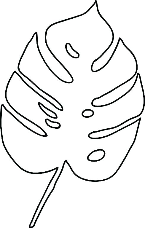 489x769 fall leaves leaf outline clip art template autumn drawings oak l - Fall Drawings