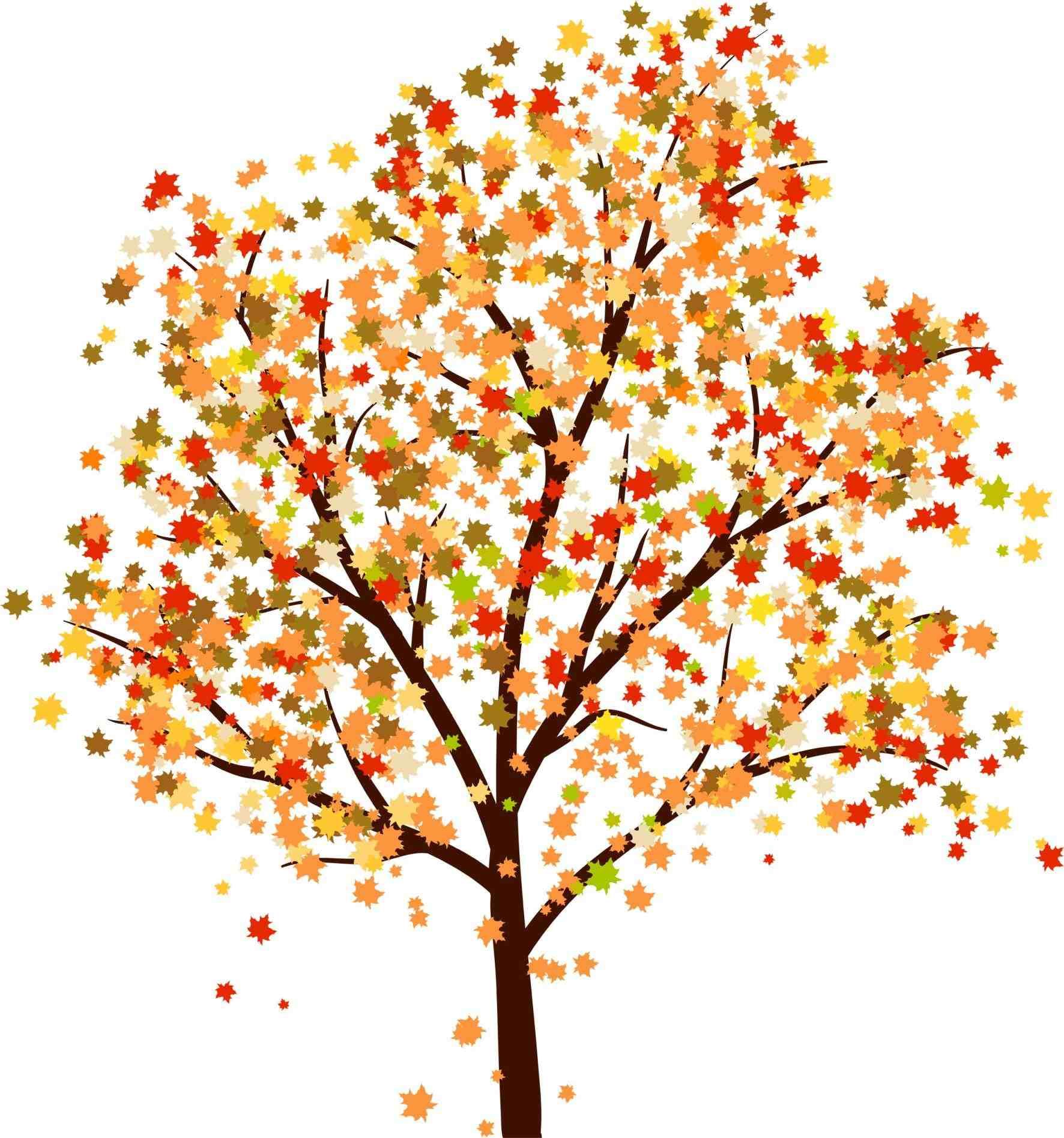 1772x1896 fall trees drawing tumblr autumn crafts autumn trees, leaf - Fall Drawings