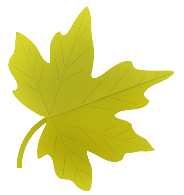 587x620 fall leaves clip art - Fall Leaves Drawing