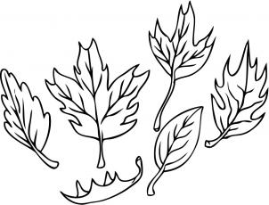 302x230 How To Draw How To Draw Leaves - Fall Leaves Drawing
