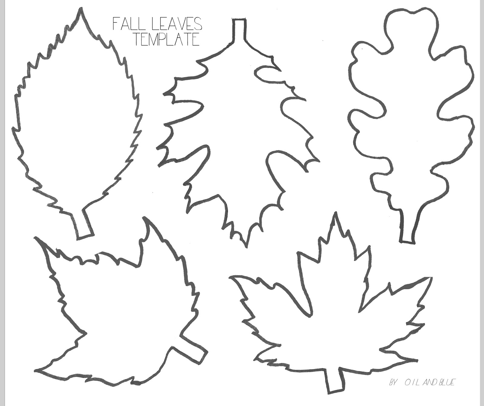1600x1344 Huge Collection Of 'autumn Leaf Outline Drawing' Download More - Fall Leaves Drawing