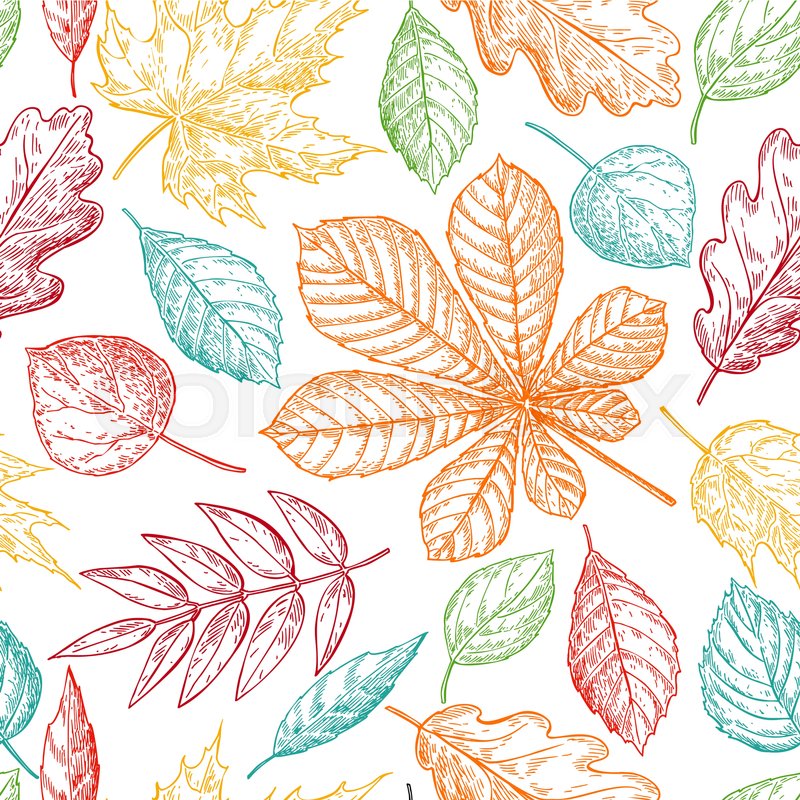 800x800 Seamless Vector Pattern With Colorful Stock Vector Colourbox - Fall Leaves Drawing
