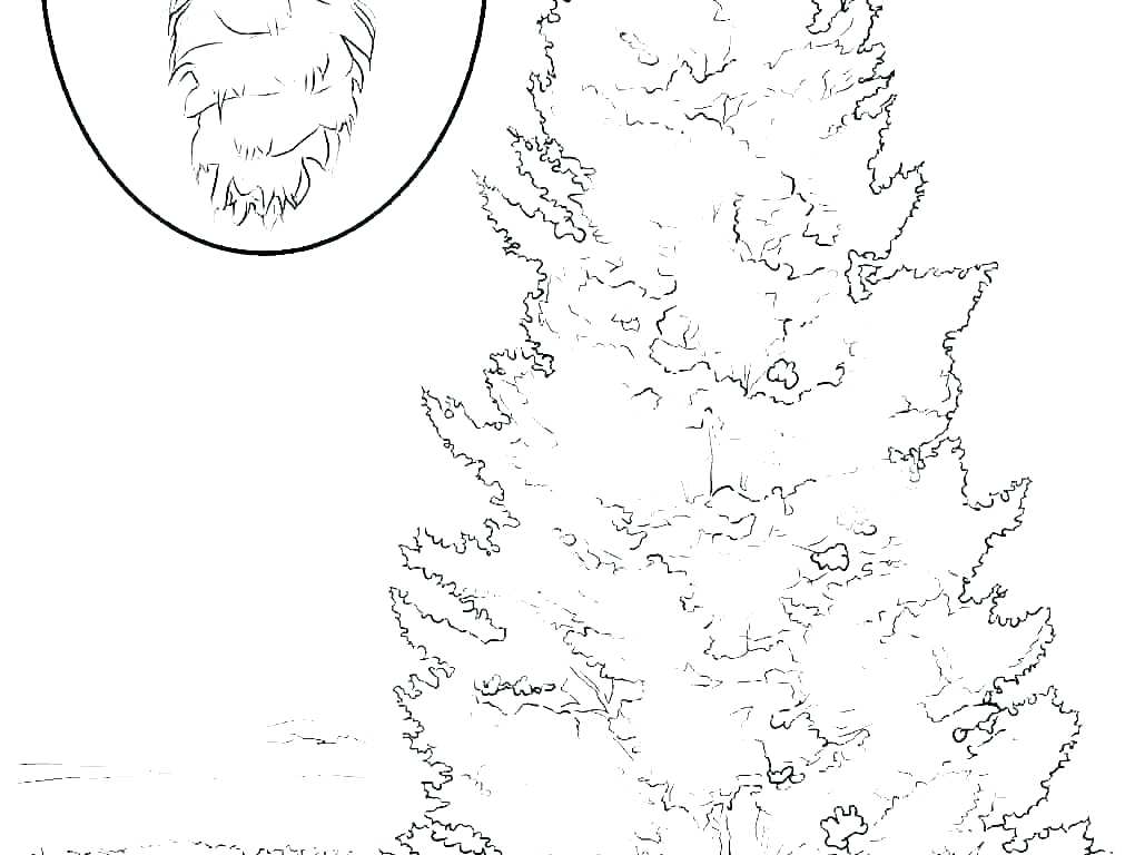 1020x768 Coloring Pages Autumn Season For Fall Free Printable - Fall Season Drawings