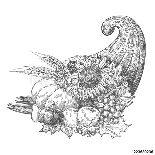 500x500 Hand Drawn Ink Pen Drawing Cornucopia With Fall Season Harvest - Fall Season Drawings