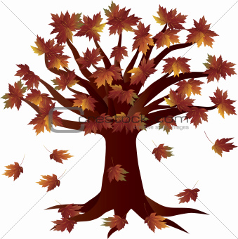 339x340 Image Fall Season Autumn Tree Illustration From Crestock - Fall Season Drawings