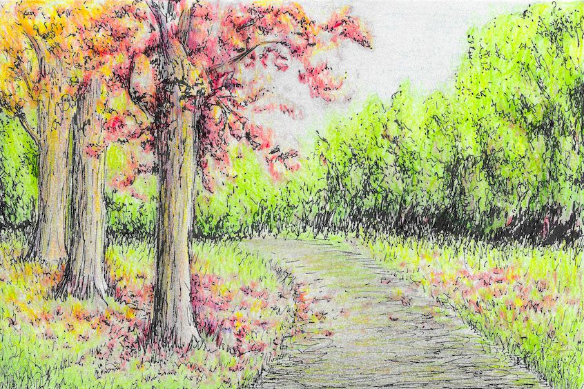 Fall Season Drawings at PaintingValley.com | Explore collection of Fall