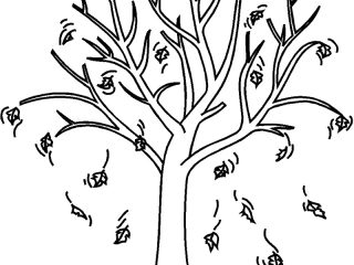 320x240 Free Printable Fall Tree Coloring Pages Coloring Pictures Of Trees - Fall Tree Drawing