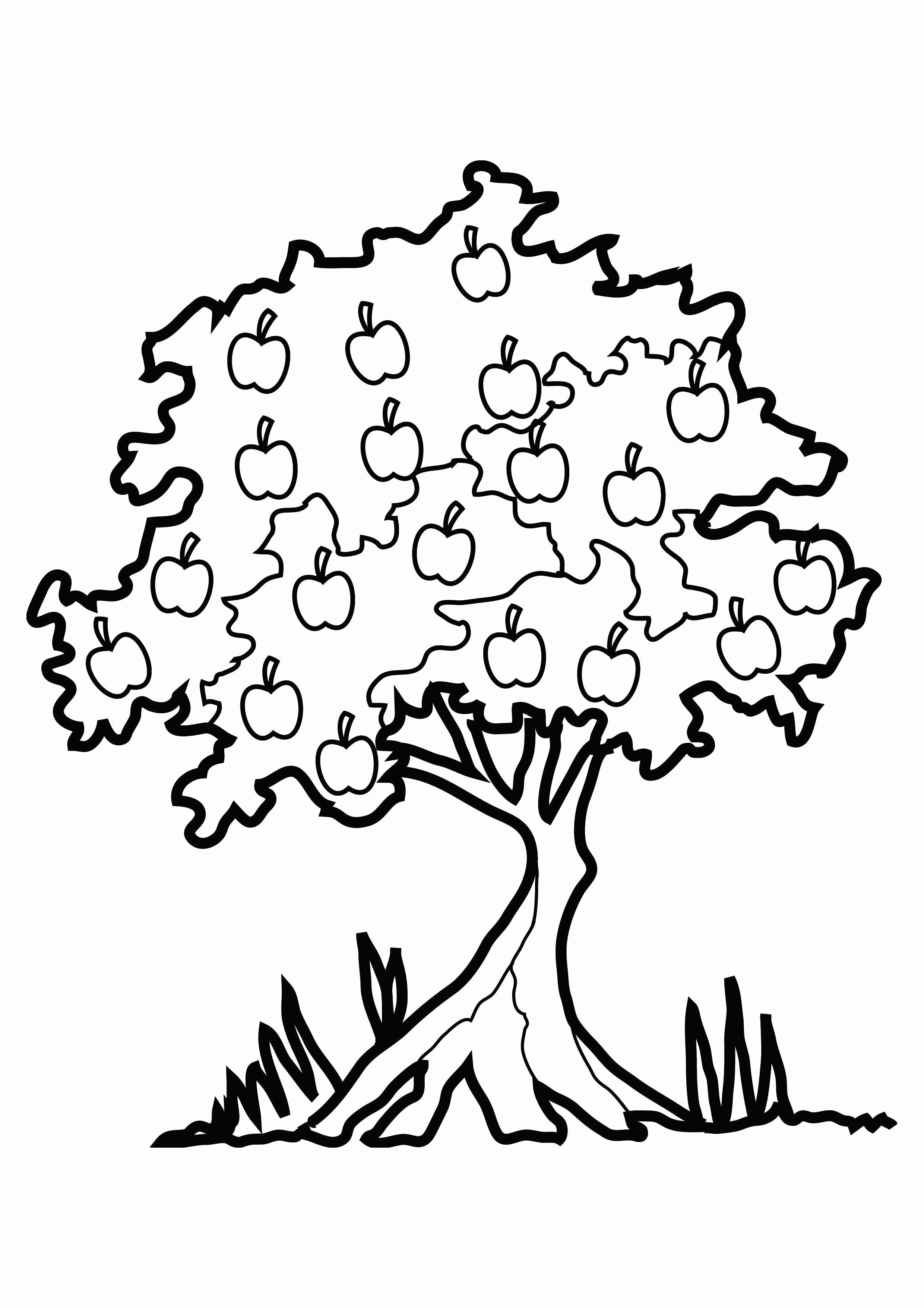 2480x3508 Autumn Tree Sketch Luxury How To Draw A Fall Tree Really Easy - Fall Tree Drawing