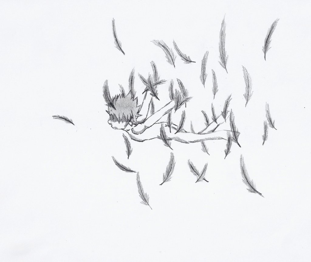 1024x863 falling feathers drawing - Falling Feather Drawing