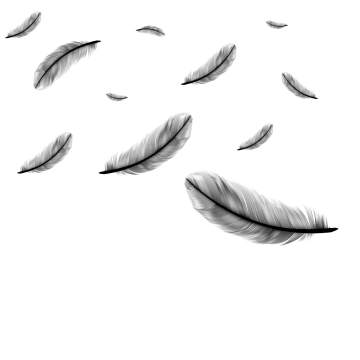 360x360 feathers falling png images vectors and free - Falling Feather Drawing