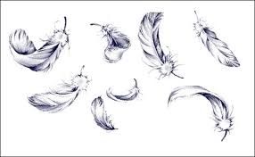 286x176 de recherche d'images pour falling feathers drawing - Falling Feather Drawing