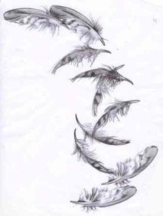 236x314 falling feather drawings - Falling Feather Drawing