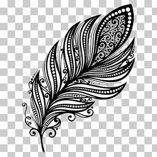 310x310 falling feather png cliparts for free download uihere - Falling Feather Drawing