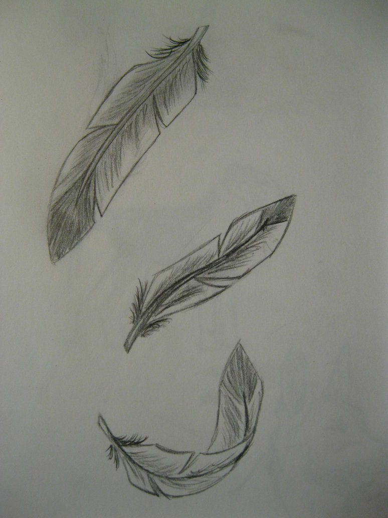 Falling Feather Drawing At PaintingValley Com Explore Collection Of   Falling Feather Drawing 5 