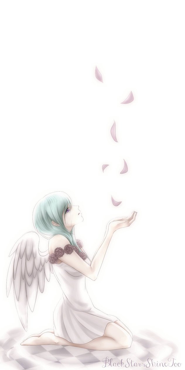 632x1264 falling rose petals drawings - Falling Rose Petals Drawing