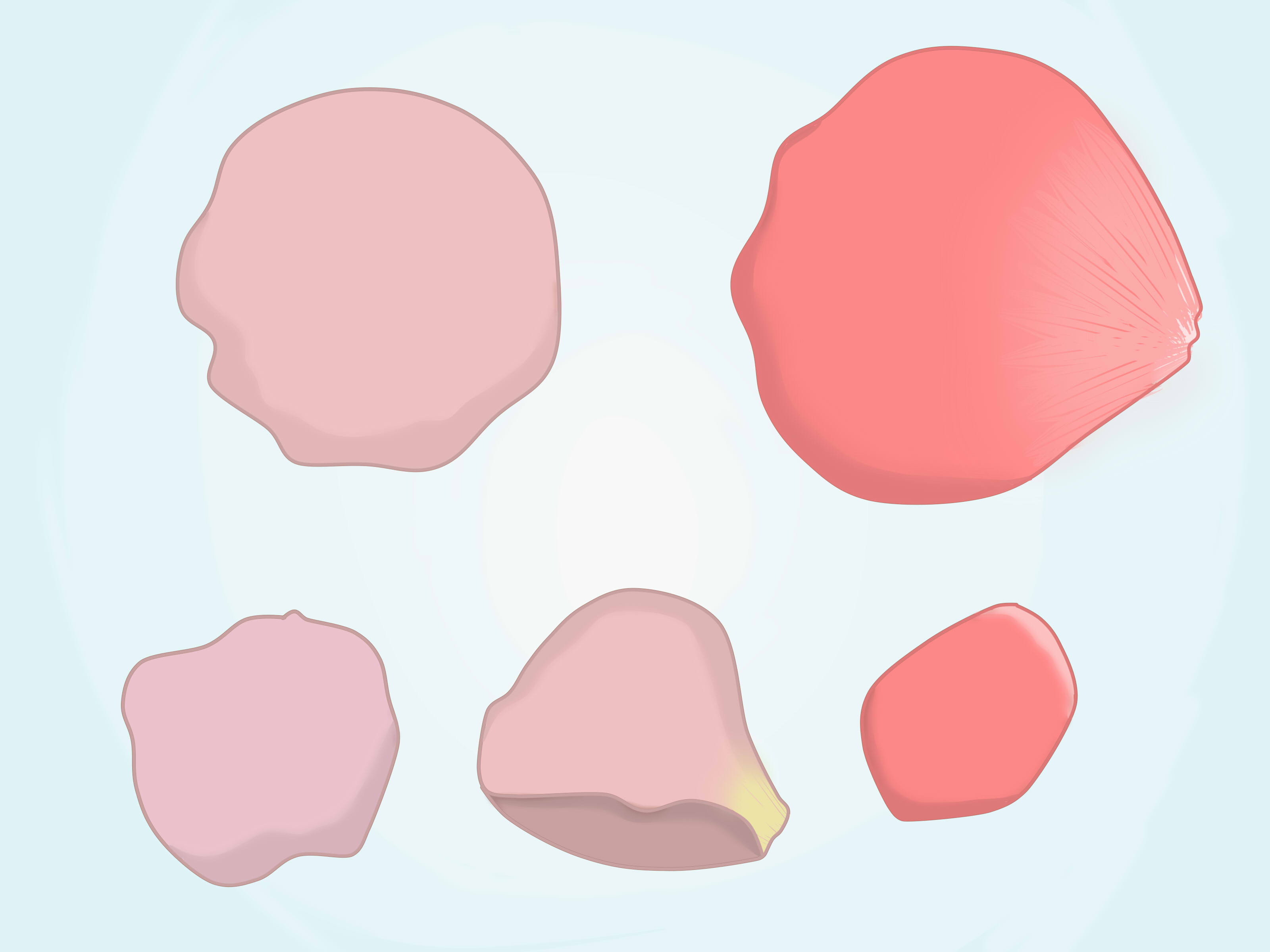 3200x2400 how to draw a rose petal steps - Falling Rose Petals Drawing