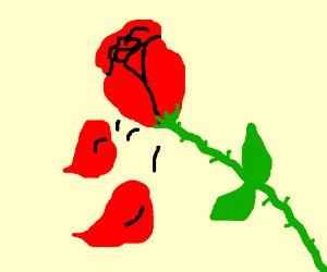 300x250 rose petals falling down drawing - Falling Rose Petals Drawing
