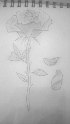 Falling Rose Petals Drawing at PaintingValley.com | Explore collection ...