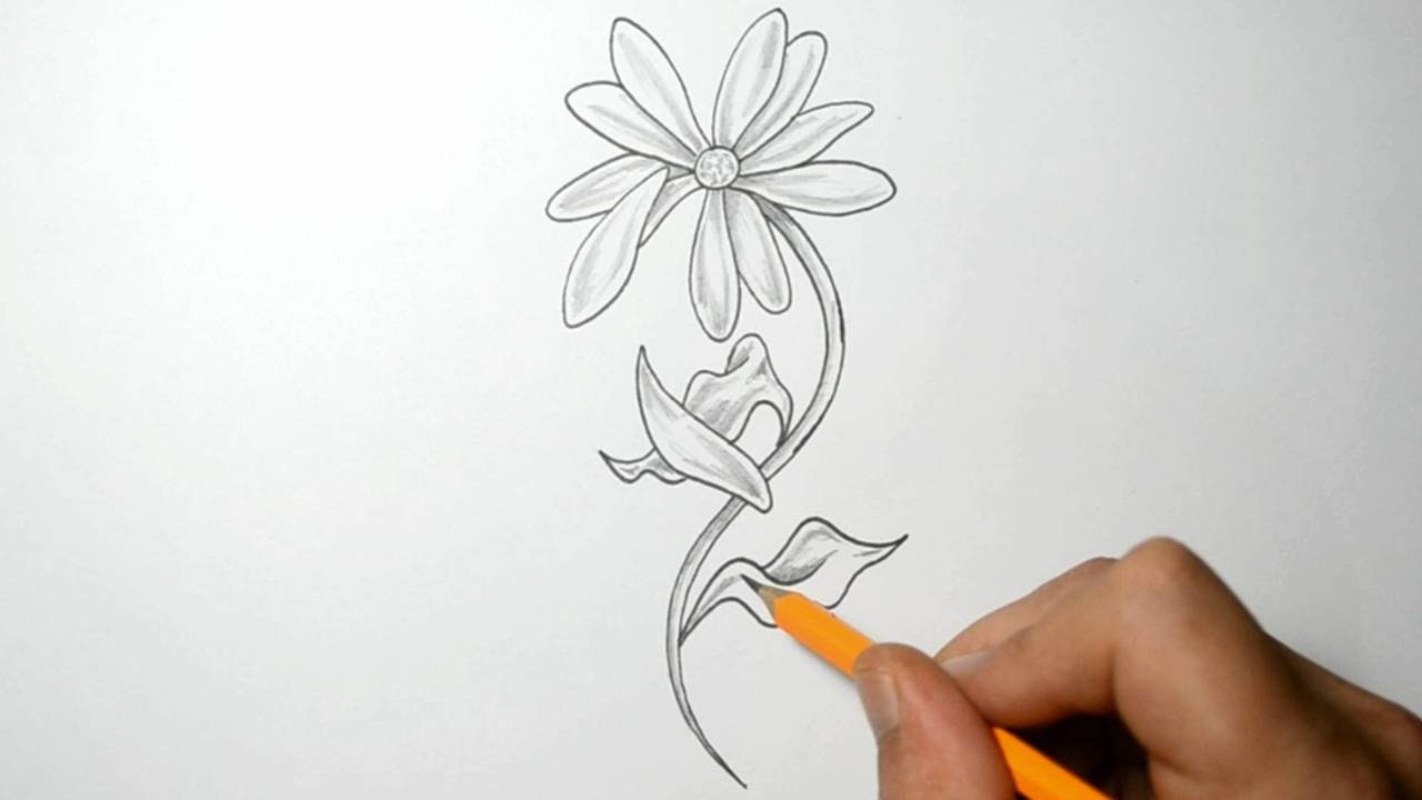 1280x720 falling flower pedals gardening flower and vegetables - Falling Rose Petals Drawing