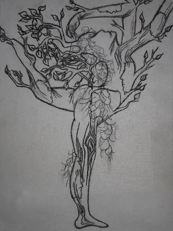 675x900 Family Tree Drawing - Family Drawing