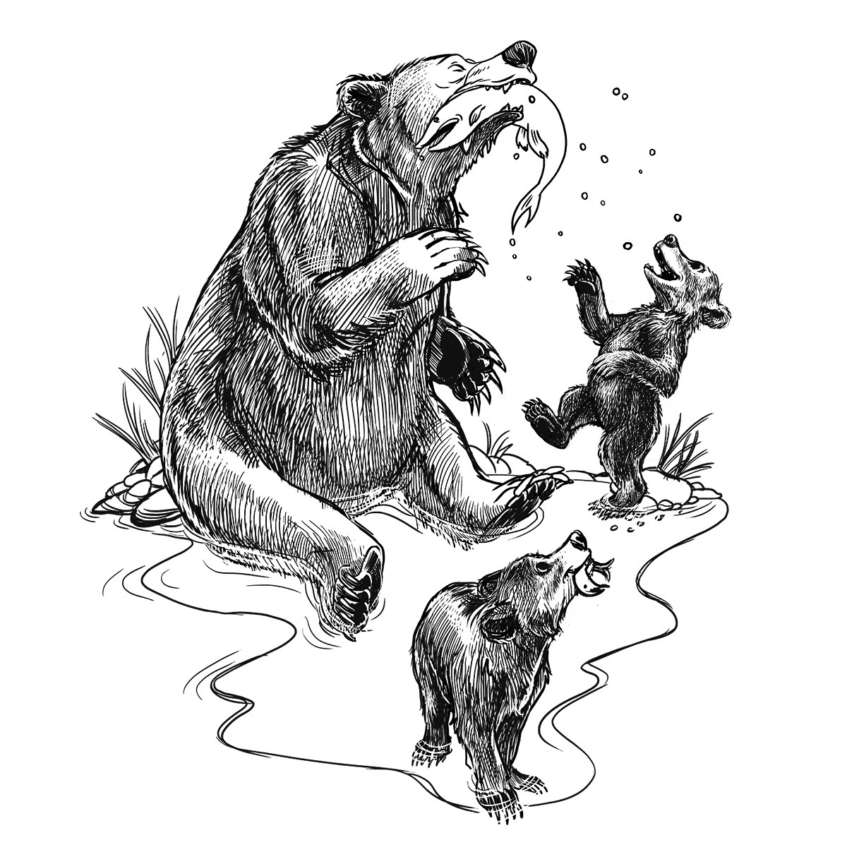 1200x1200 Fishing Bear Family Drawing Mcd - Family Drawing Cartoon