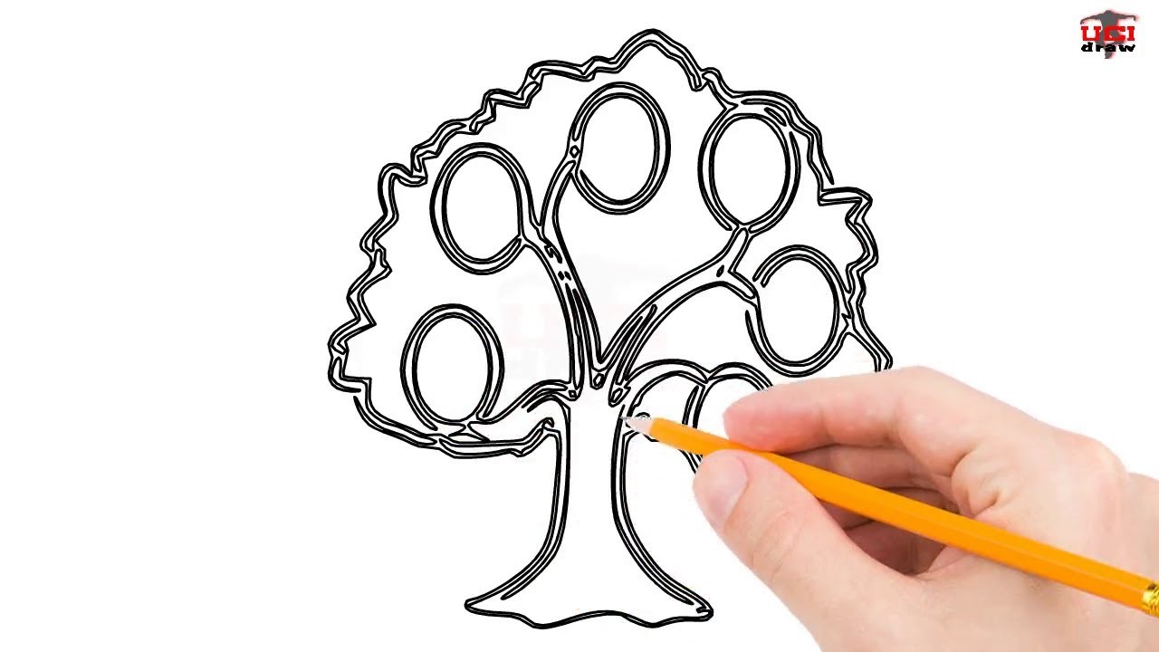 1280x720 How To Draw A Family Tree Step - Family Tree Drawing